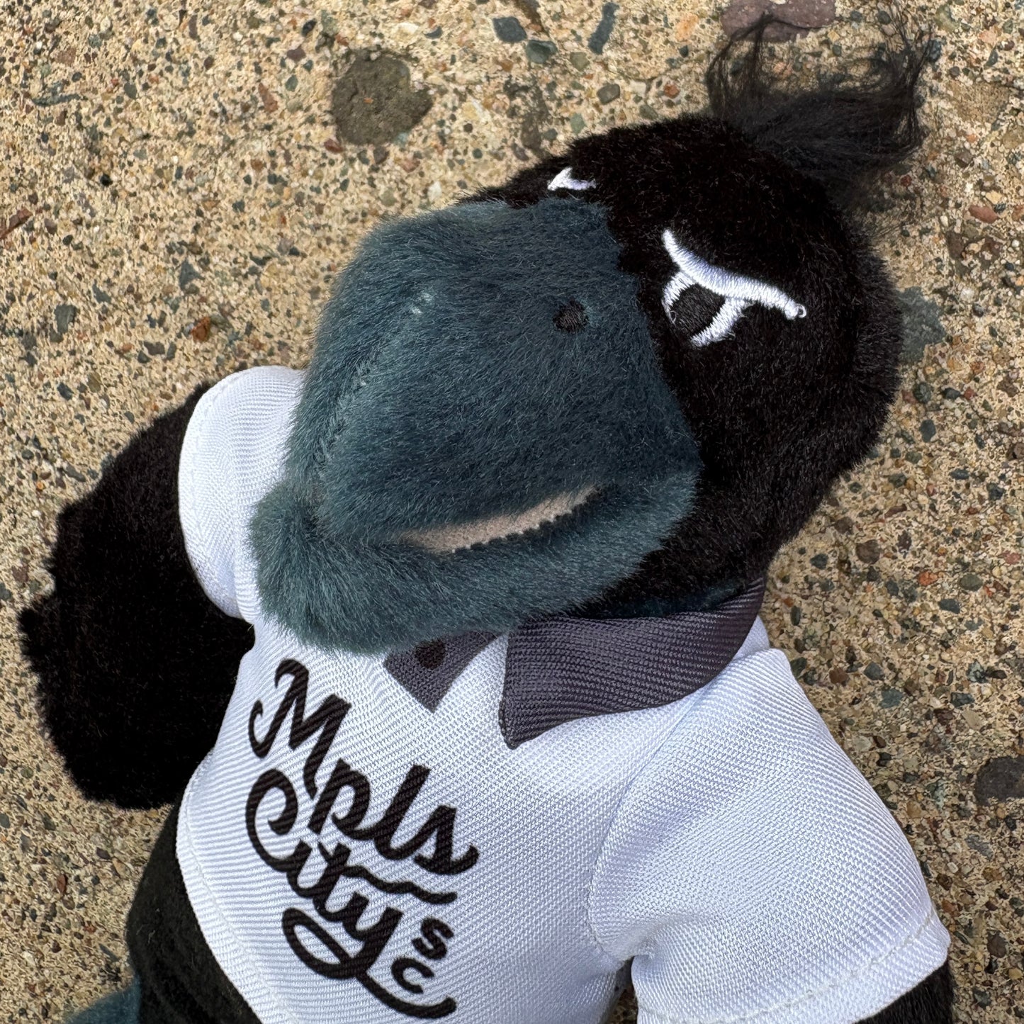 Schmitty the Crow Stuffy